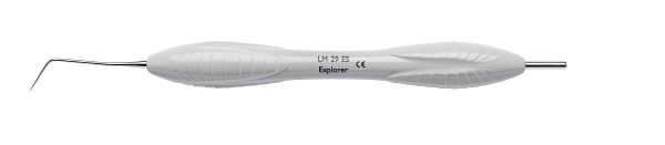 LM Explorer 29