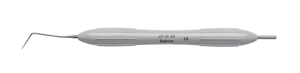 LM Explorer 29